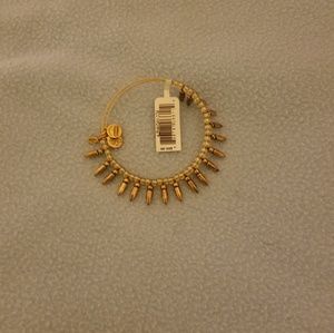 Spike of Confidence Wire Bangle No Color